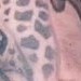 tattoo galleries/ - Mama and her calf