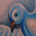 tattoo galleries/ - Blue dove