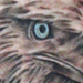 tattoo galleries/ - Eagle - 26454