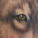 tattoo galleries/ - EagleWolf - 30577