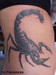 Tattoos - Scorpion - 35152