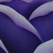 tattoo galleries/ - Purple Rose
