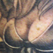 tattoo galleries/ - WelderChick - 30579