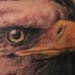 tattoo galleries/ - Bald Eagle