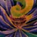 tattoo galleries/ - lotus blossom