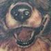 Tattoos - Black and Grey Dog Portrait Tattoo - 55587