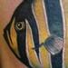 Color Angelfish tattoo Tattoo Design Thumbnail