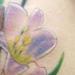 Tattoos - Full Color Wooden Cross Tattoo - 55595