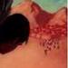 Tattoos - 