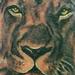 tattoo galleries/ - Realistic Black and Grey Lion Tattoo - 55586