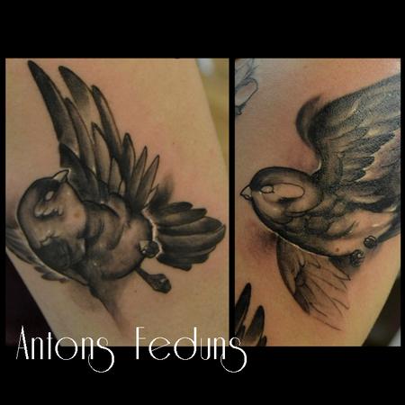 Tattoos - Two Birds - 97937