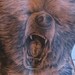 Tattoos - Bear Backpiece - 35491