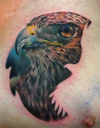 Hawk Tattoo