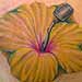 tattoo galleries/ - Flower with Microphone