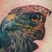 tattoo galleries/ - Hawk Tattoo - 39968