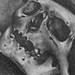 tattoo galleries/ - Graphite Machine Art - 38884
