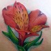 tattoo galleries/ - Lilly Tattoo