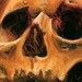 Art Galleries - 2x3 Skull Art - 39807