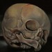 tattoo galleries/ - Fetal Skull Art