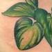 Tattoos - Leaves - 75524
