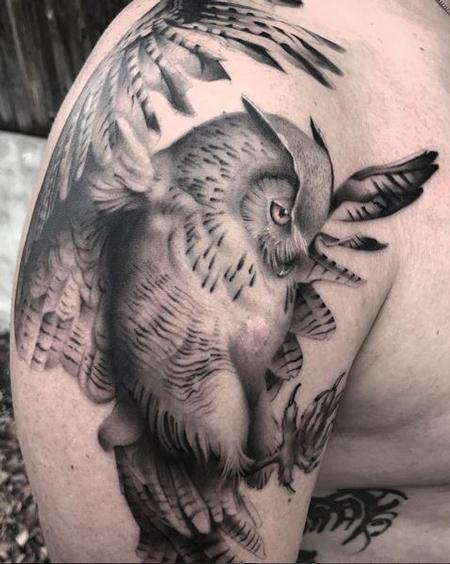 Zane Collins - Black and Gray Owl Tattoo