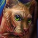 Tattoos - hairless cat tattoo - 51621