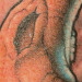 tattoo galleries/ - tree - 24644