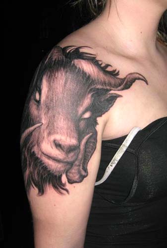 Tattoos - Horned ram tattoo - 28925