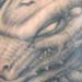 tattoo galleries/ - Winged dragon full back tattoo - 28920