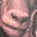 tattoo galleries/ - Horned ram tattoo