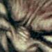 tattoo galleries/ - Leafman  head tattoo - 28931