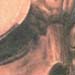 tattoo galleries/ - Skull tattoo