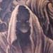 tattoo galleries/ - Hooded monks with trees side tattoo - 28941