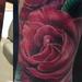 Tattoos - Hummingbird and Roses - 75944