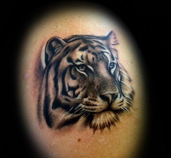 Looking for unique  Tattoos? Tiger