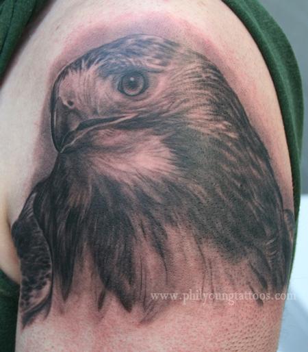 Phil Young - Hawk portrait!!