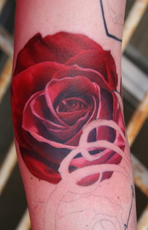 Phil Young - Rose
