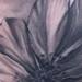 tattoo galleries/ - Iceland flowers on ribs - 58862