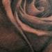 Tattoos - Black and grey rose tattoo - 68298