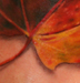 Tattoos - fall leaf - 30966