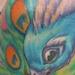 peacock tatto Tattoo Thumbnail