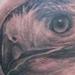 Hawk portrait!! Tattoo Thumbnail