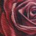 Tattoos - Rose tattoo - 59678
