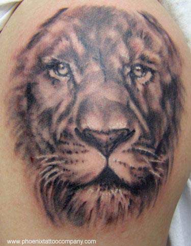 lion tattoo. Realistic Lion Tattoo in black