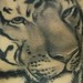 tattoo galleries/ -  - 37946