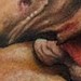tattoo galleries/ - 