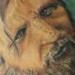 tattoo galleries/ - Rasputin the panda killer 