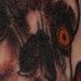 tattoo galleries/ - 