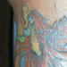 tattoo galleries/ - pheonix - 24283