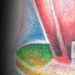 tattoo galleries/ - suck it! - 47680